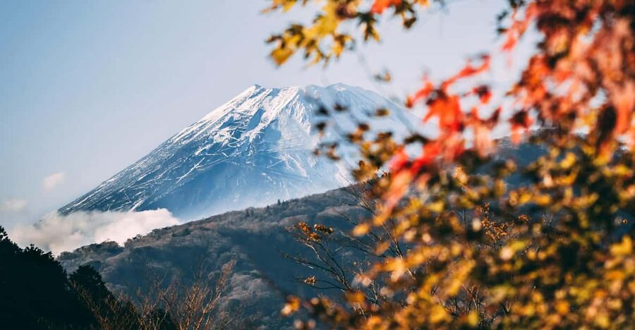 1-Day Mt Fuji and Hakone Sightseeing trip from Tokyo - Why this private Fuji day works best for small groups