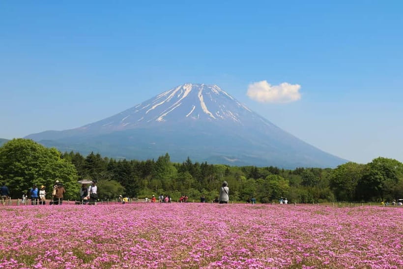 1-Day Mt Fuji and Hakone Sightseeing trip from Tokyo - Comfort and vehicle expectations