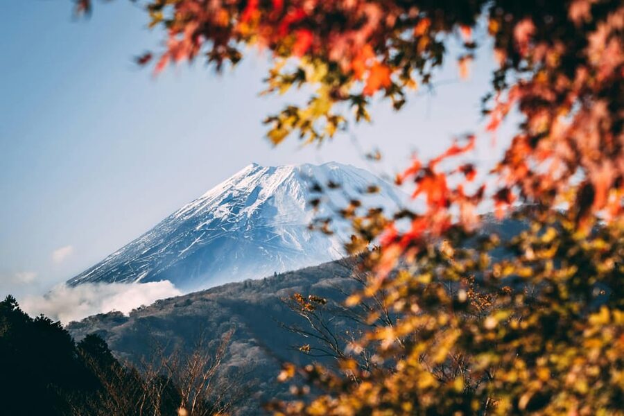 1-Day Mt Fuji and Hakone Sightseeing trip from Tokyo - From Tokyo streets to the Fuji region