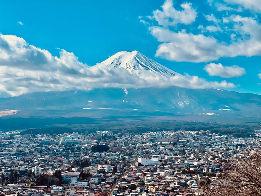 1-Day Mt Fuji and Hakone Sightseeing trip from Tokyo - Oishi Park: flowers, lake views, and a lighter stop