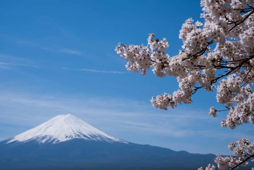 1-Day Mt Fuji and Hakone Sightseeing trip from Tokyo - Owakudani Valley: volcanic Japan in Hakone