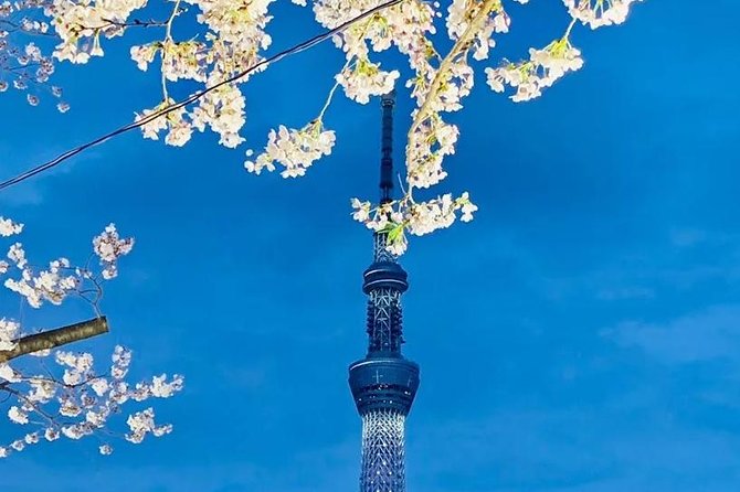 1 Day Private Charter Tokyo Tour (Green Number Plates) - Why a private car helps in a city as large as Tokyo