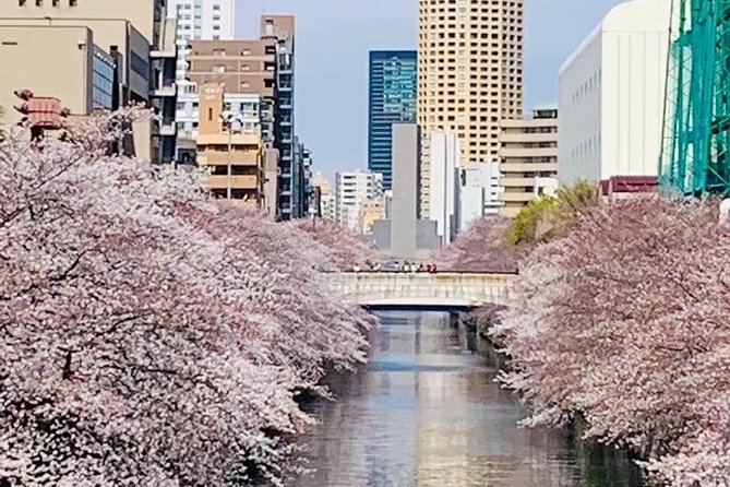 1 Day Private Charter Tokyo Tour (Green Number Plates) - Shibuya Crossing and Hachiko