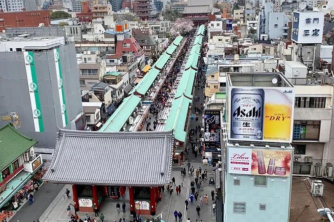 1 Day Private Charter Tokyo Tour (Green Number Plates) - The guide makes the biggest difference