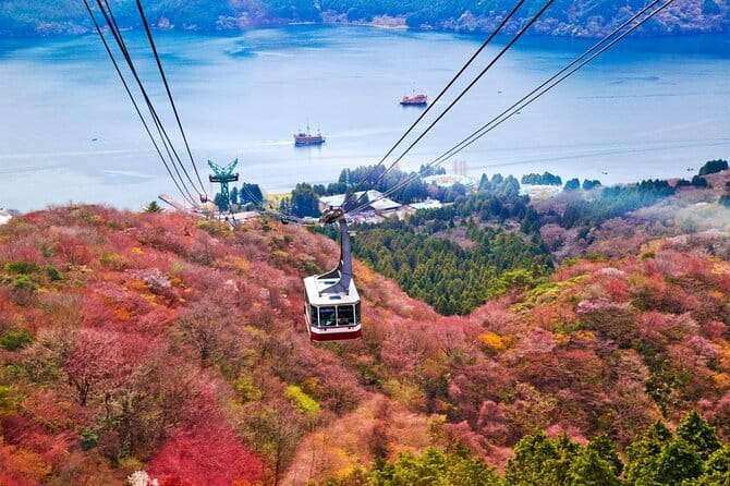 1 Day Private Tour to Hakone-Gotemba With English Speaking Driver - The driver can make or break the day