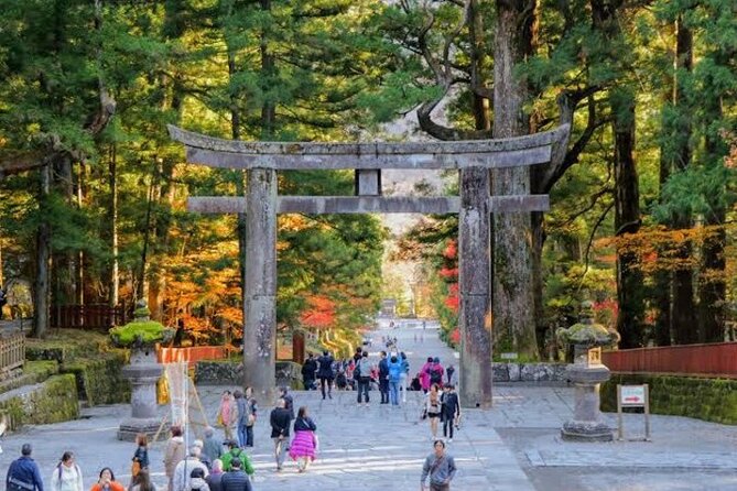 1- Day Private Tour to Nikko Tochigi With English Speaking Driver - What the private driver changes