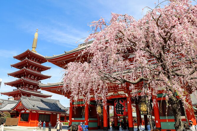 1-Day Tokyo Bus Tour - Key points to know before booking