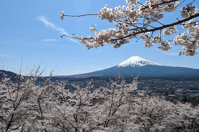 1 Day Tour Explore Nikko’s World Heritage and National Park - Shinkyo Bridge makes a quick scenic stop