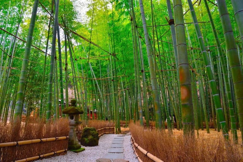 1-Day trip: Kamakura City (Enoshima/Shonan/Beach) - The Main Limits to Keep in Mind