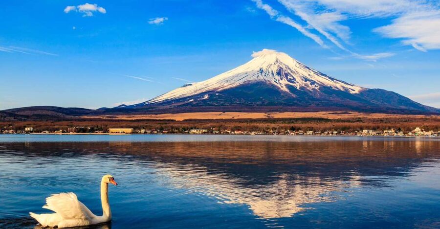 1-Day trip: Mt Fuji + Kawaguchi Lake area - A private road trip from Tokyo to Fuji country