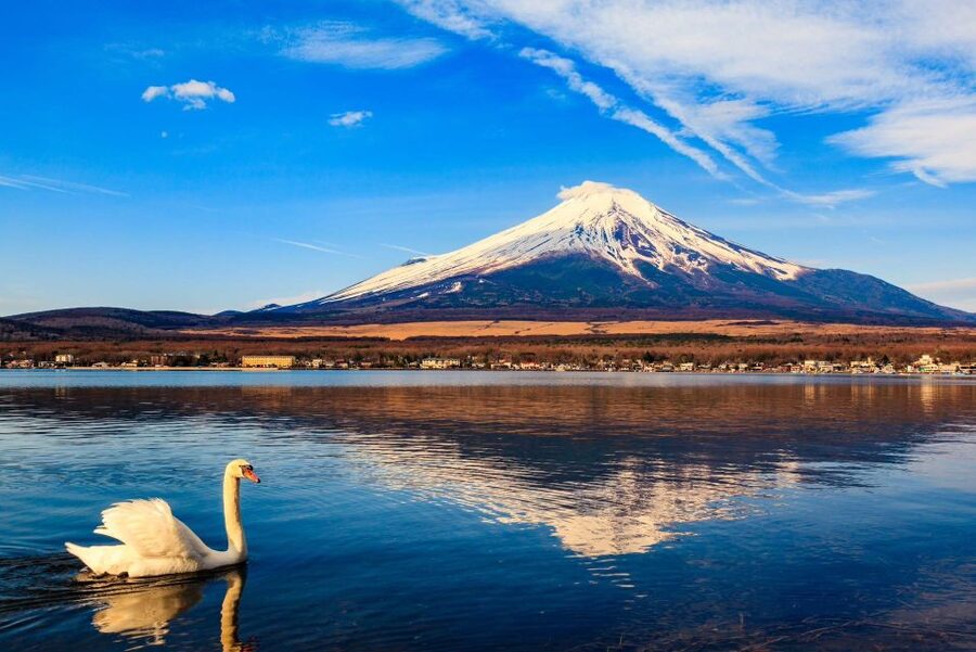1-Day trip: Mt Fuji + Kawaguchi Lake area - The ropeway and Lake Kawaguchi Cruise