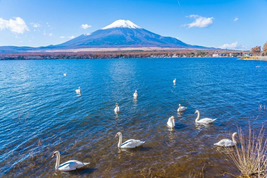 1-Day trip: Mt Fuji + Kawaguchi Lake area - Fuji-Q Highland and Narusawa Ice Cave