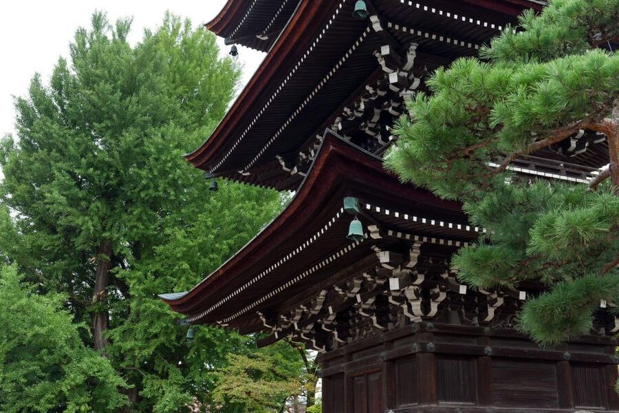 1-Day trip: Mt Fuji + Kawaguchi Lake area - Who will get the most value from this trip