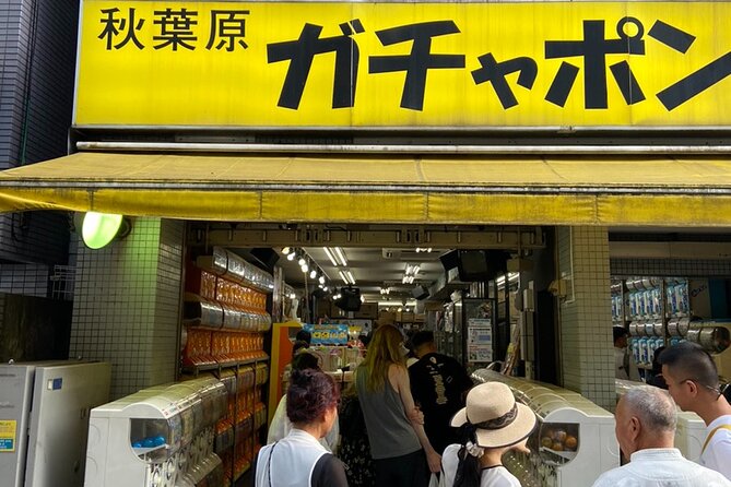 100% PRIVATE Anime, Manga, Game & Pop Culture Tour in Akihabara - Who should book this experience?