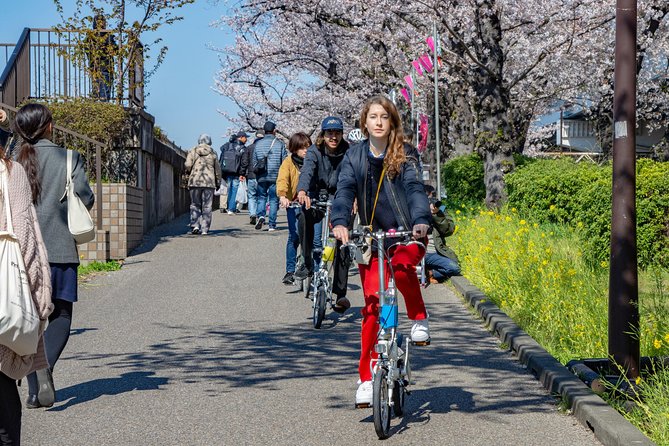 2.5 Hour-Guided Cycle Tour in the Central Tokyo - Meeting Takeshi near Hikifune Station