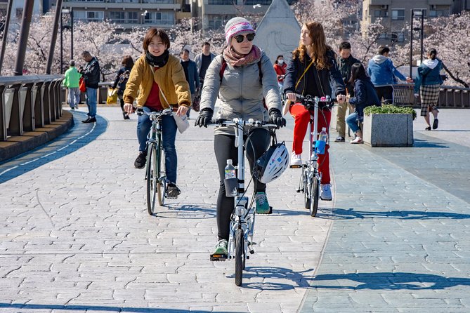 2.5 Hour-Guided Cycle Tour in the Central Tokyo - Imado Shrine and Tokyo’s lucky-cat connection