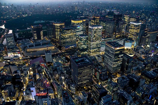 25-Min Downtown Helicopter Tour : Tokyo Skytree and Tokyo Tower - Why a private helicopter flight can be worth the cost