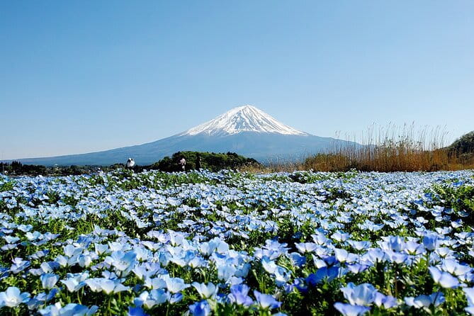3 Days Tokyo, Mt. Fuji and Hakone Private Tour from Tokyo - Why This Three-Day Private Plan Works