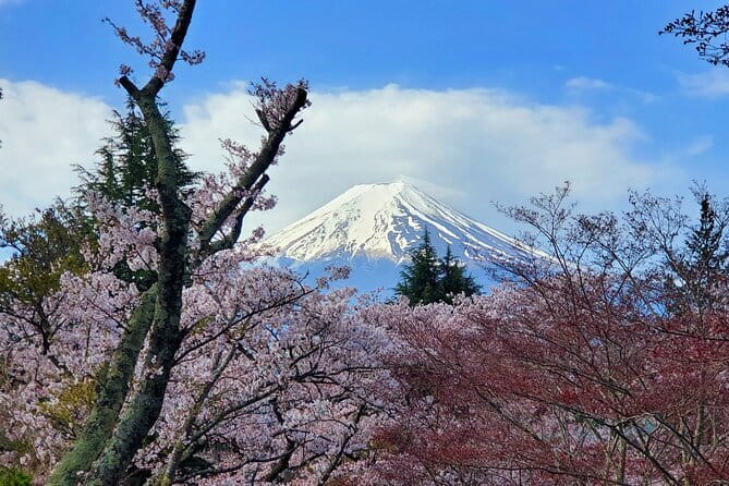 3 Days Tokyo, Mt. Fuji and Hakone Private Tour from Tokyo - Day One: From Tsukiji Seafood to Harajuku Style