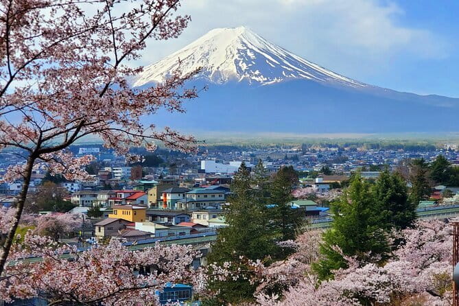3 Days Tokyo, Mt. Fuji and Hakone Private Tour from Tokyo - Day Two: Mount Fuji Viewpoints and the Five Lakes