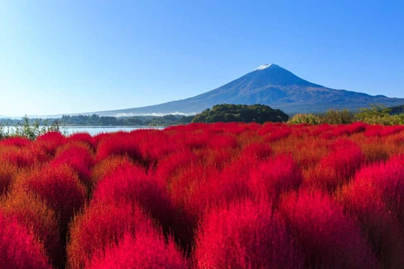 3-Row Luxury Bus Tour to Mt. Fuji, Lake Kawaguchi from Tokyo - Why this Mt. Fuji day trip works