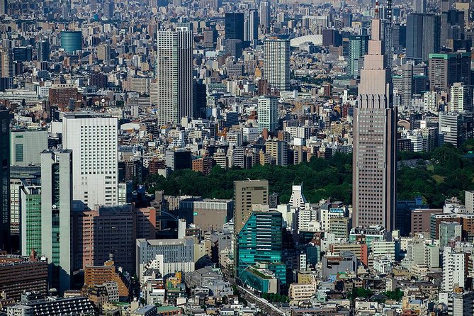 30-Min Tokyo Central Private Heli Tour– Asakusa, Skytree, Shibuya - What 30 minutes in the air feels like
