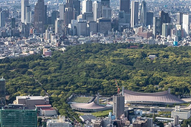 30-Min Tokyo Central Private Heli Tour– Asakusa, Skytree, Shibuya - Weather, weight limits, and flight rules