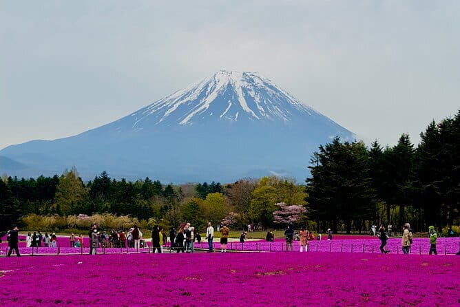 5-Hour Tokyo Private Layover Tour from Haneda Airport - Tokyo Tower is another short modern landmark stop