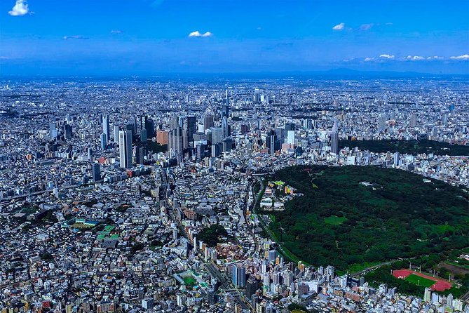 75-Min Mt. Fuji Half Day Private Helicopter Tour - Weather, cancellations, and the real financial risk