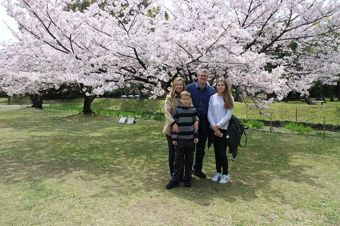 8-hour Tokyo tour by qualified tour guide using public transport - Tokyo Tower adds the big city view