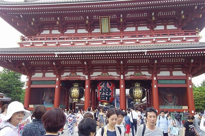 8-hour Tokyo tour by qualified tour guide using public transport - The walking and timing deserve serious attention