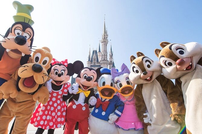 Airport transfer between Haneda and Tokyo or Disney or Yokohama - Vehicle sizes and luggage limits
