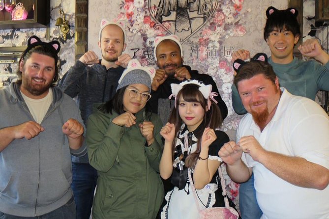 Akihabara Anime & Game Adventure Walking Tour (Group or Private) - Meeting at Electric Town Gate