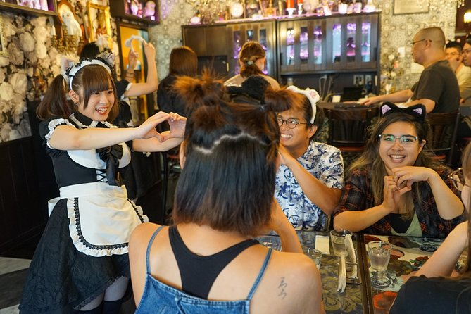 Akihabara Anime & Game Adventure Walking Tour (Group or Private) - Akiba Culture Zone and the many floors of Akihabara