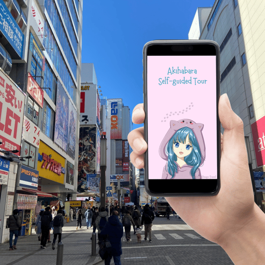 Akihabara: Self-Guided Tour with a special brochure - Key points at a glance
