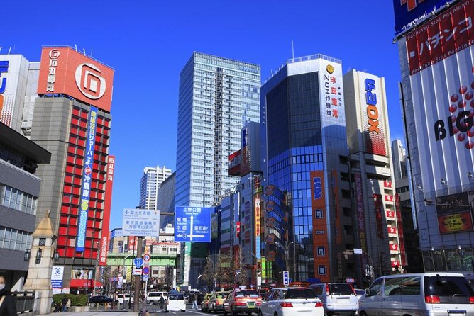 Akihabara Tailor-made Private Tour for Anime Fans - Key points to know before you book