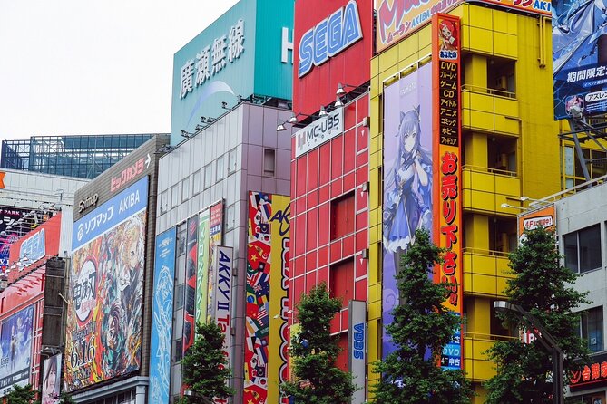 Akihabara Tour with Vintage Gaming Anime and Gachapon Experience - Starting at Radio Kaikan and Electric Town