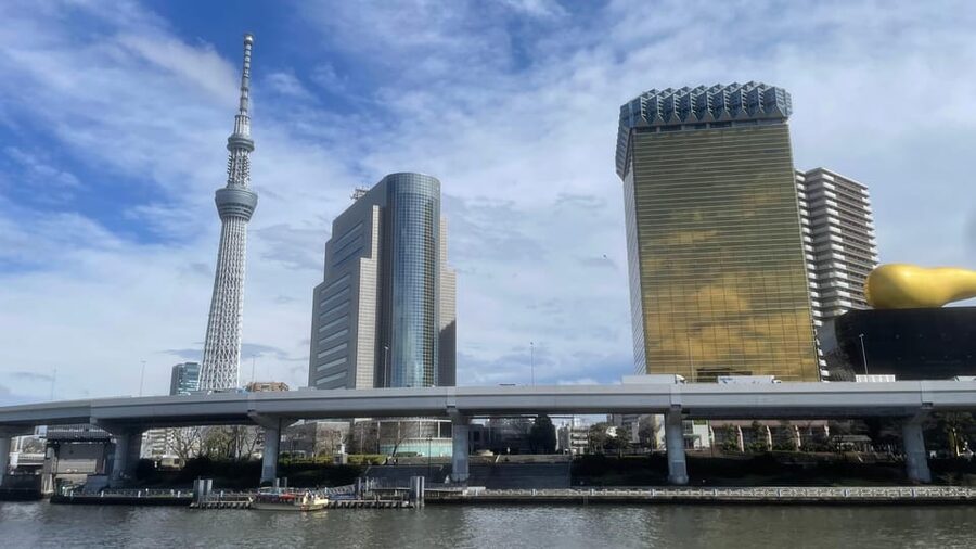 Awesome Private Tour: Tsukiji, Asakusa, Shinjuku, Shibuya - Key points to know before booking