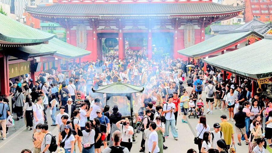 Awesome Private Tour: Tsukiji, Asakusa, Shinjuku, Shibuya - What this private Tokyo tour really offers