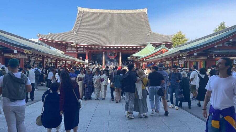 Awesome Private Tour: Tsukiji, Asakusa, Shinjuku, Shibuya - Tokyo Skytree can consume the whole afternoon