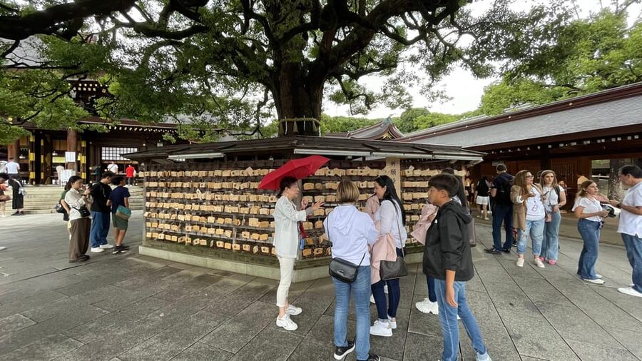 Awesome Private Tour: Tsukiji, Asakusa, Shinjuku, Shibuya - Shinjuku closes with narrow lanes and neon