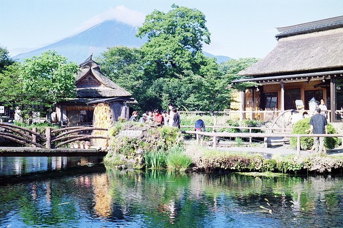 Barrier-Free Private Mt. Fuji Tour for Wheelchair Users - A Full Day From Tokyo to Fuji Country