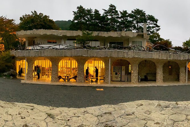 Barrier-Free Private Mt. Fuji Tour for Wheelchair Users - Lunch at a Traditional Japanese Restaurant