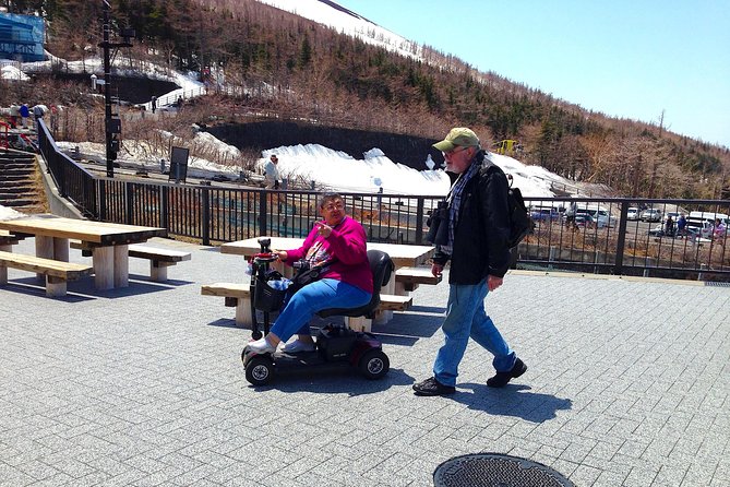 Barrier-Free Private Mt. Fuji Tour for Wheelchair Users - What the $1,439.87 Group Price Really Means