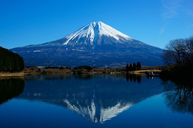 Best Mt Fuji and Hakone Full-Day Bus Tour from Tokyo - Why this day works for a first look at Fuji and Hakone