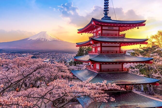 Best of Tokyo Private Tour English Driver &Customizable Itinerary - Meiji Jingu and Takeshita Street, two different Harajuku experiences