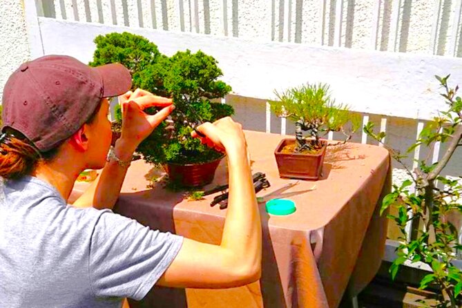 Bonsai Tour & Experience at the Most Sacred City for Bonsai in JP - Meeting Jun at Toro Station at 10 a.m.