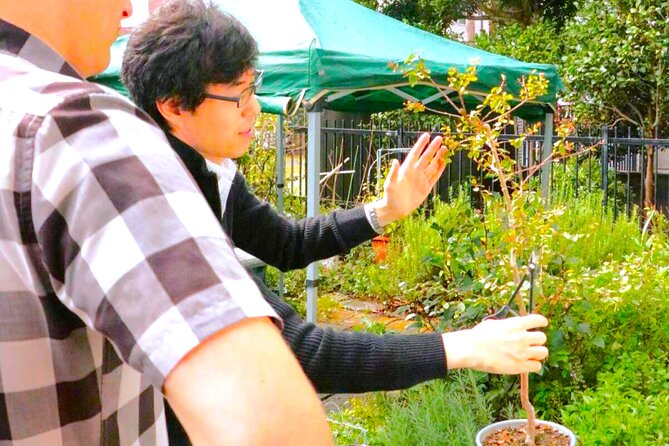 Bonsai Tour & Experience at the Most Sacred City for Bonsai in JP - Seeing the Bonsai Art Museum, with the extra fee