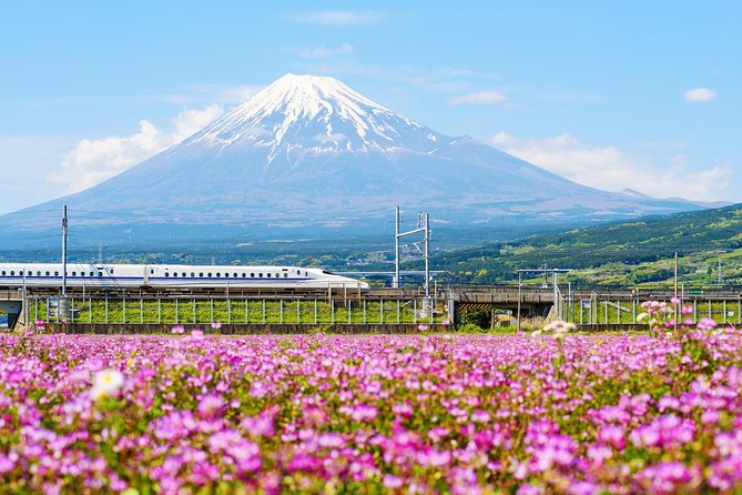 Bullet Train and Mt. Fuji Famous Food Tour - Riding the bullet train toward Mt. Fuji