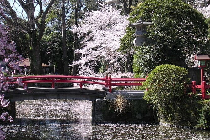 Bullet Train Experience & Mishima Shrine Private Tour from Tokyo - Mishima Station and the first look at the city